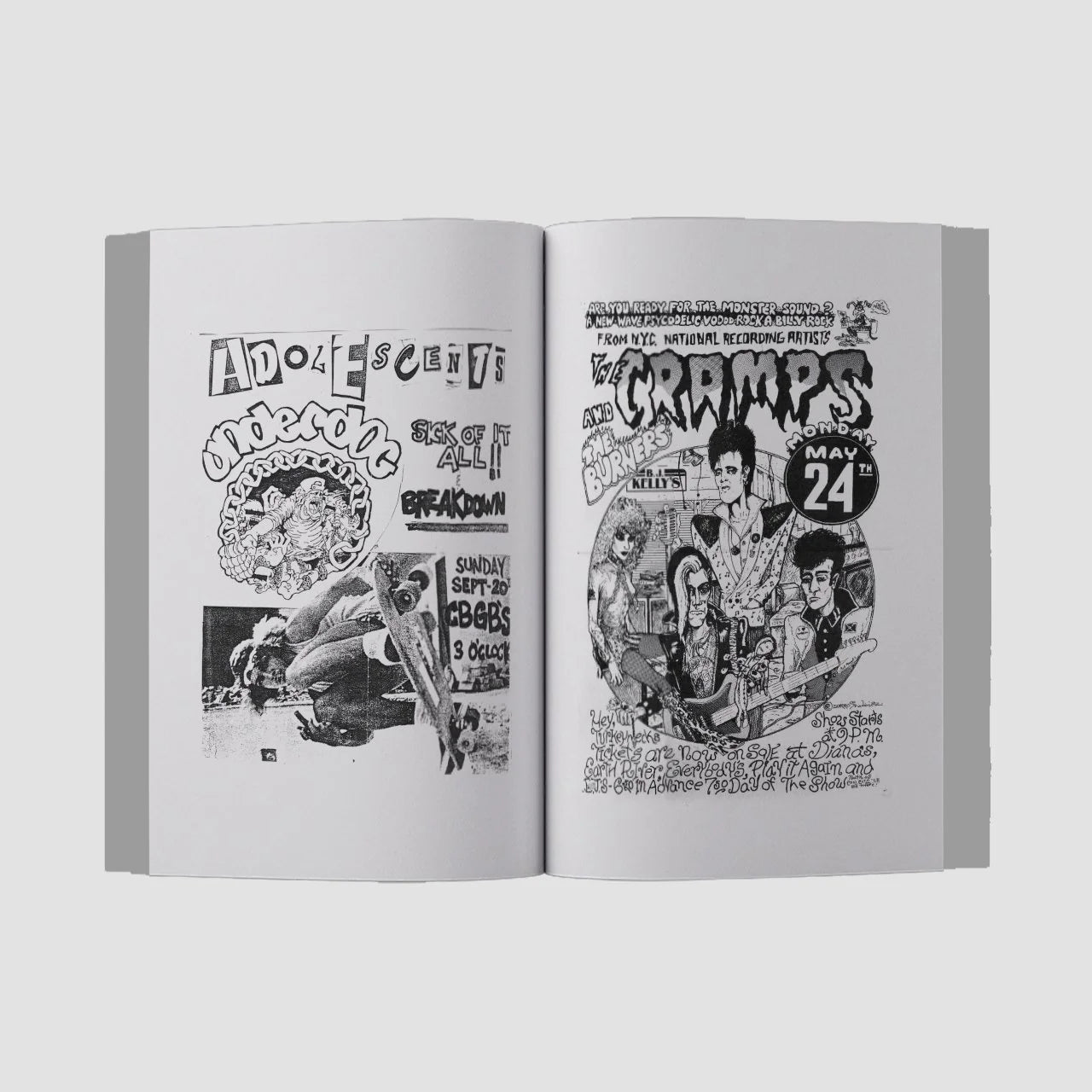 Punk Flyers