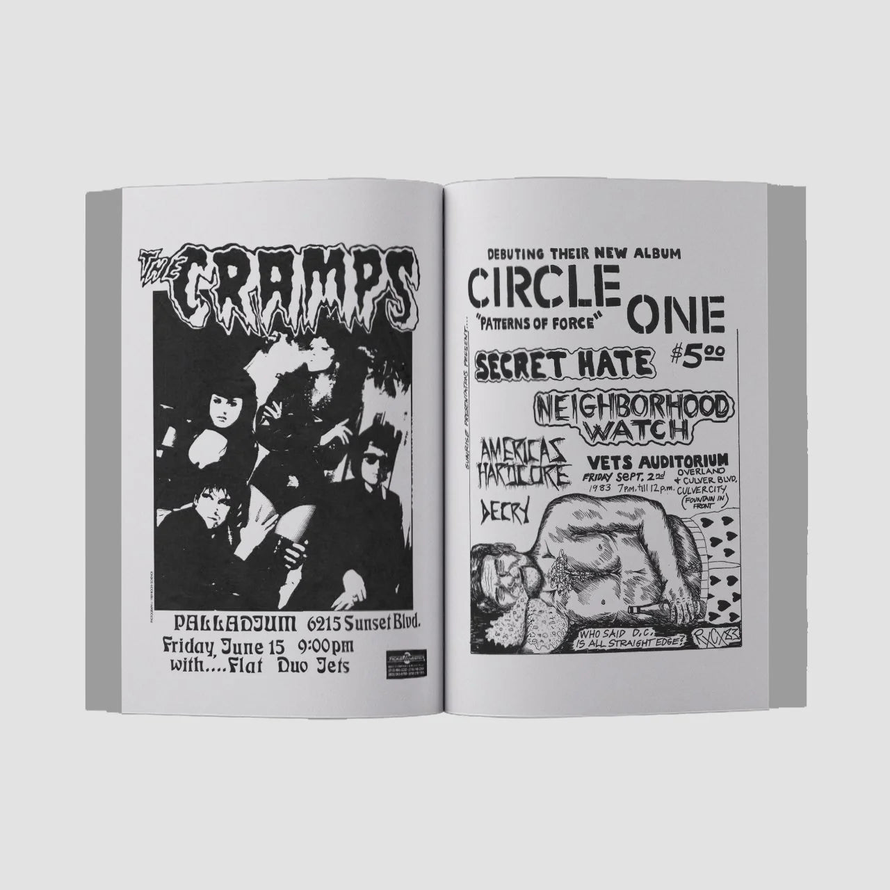 Punk Flyers