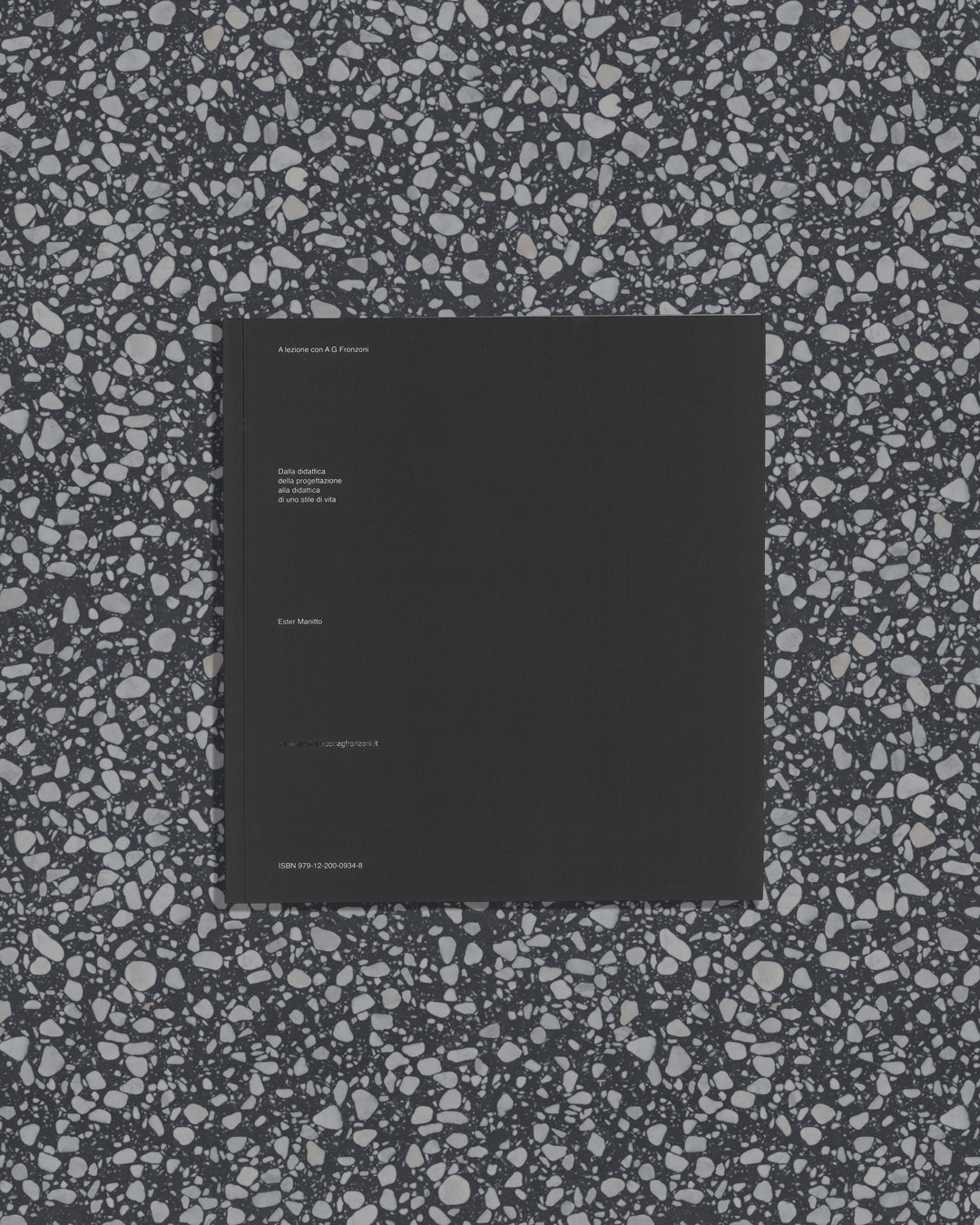 A Lesson with AG Fronzoni