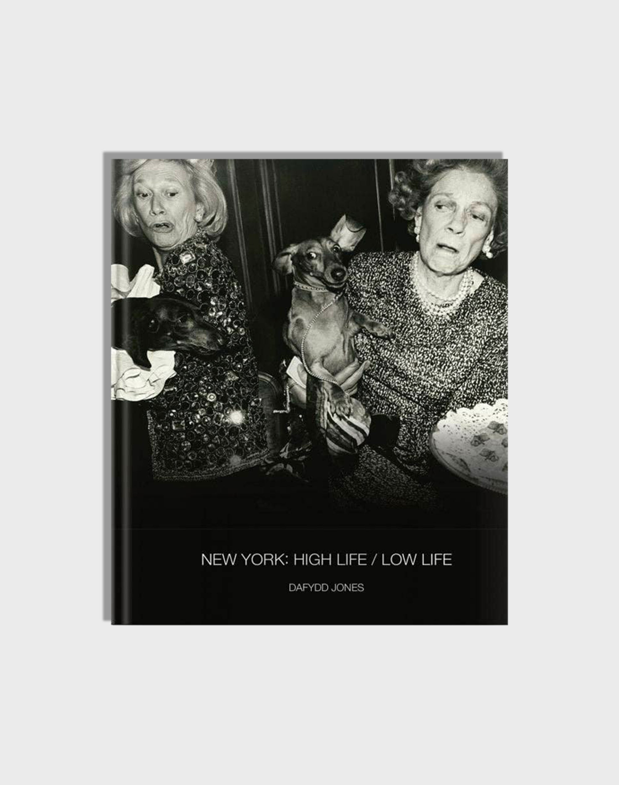 NEW YORK: HIGH LIFE LOW LIFE