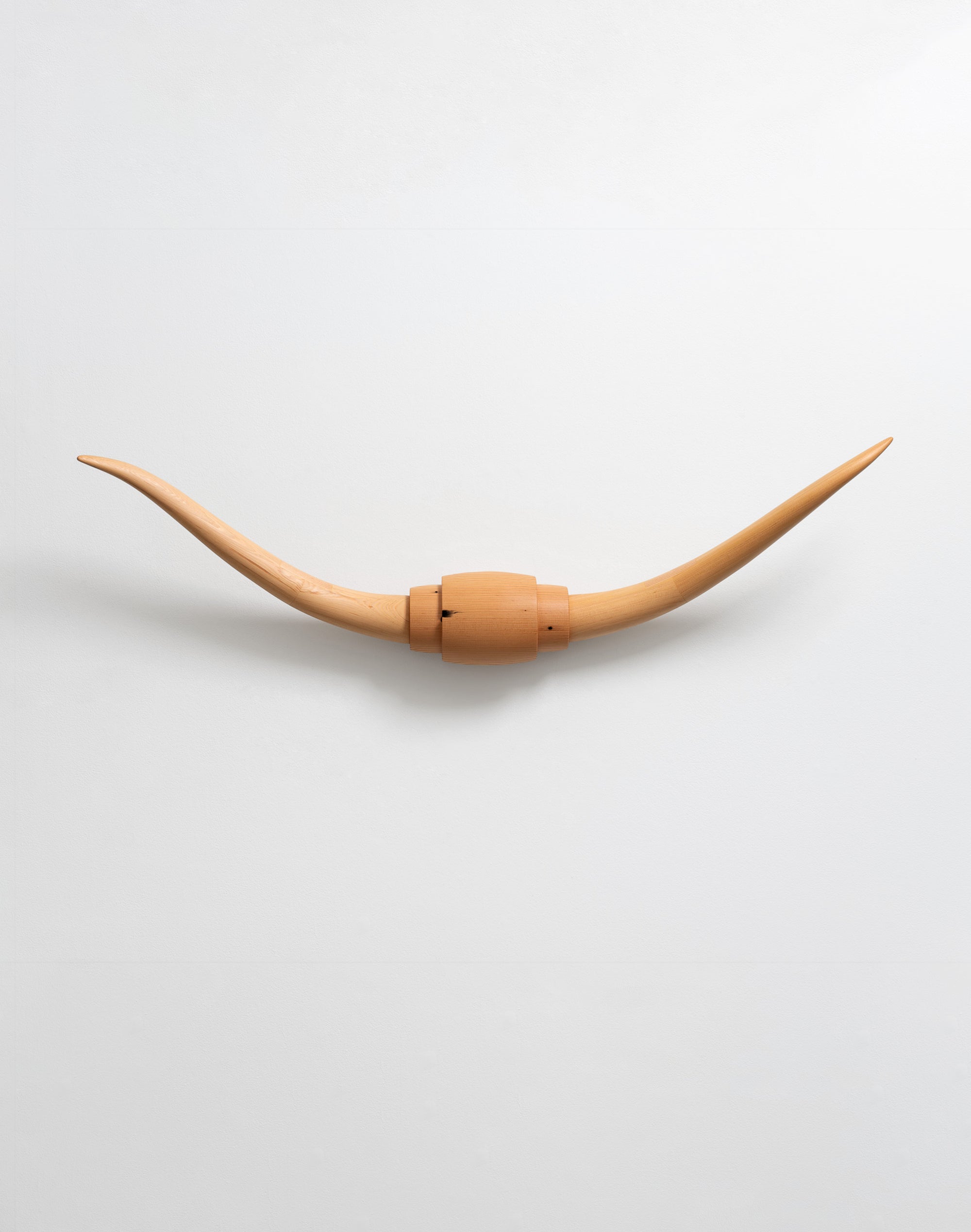 Bull Horns