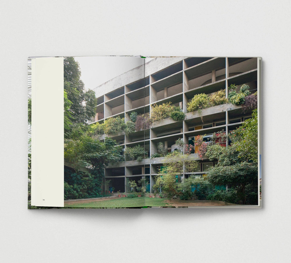 Brutalist Plants