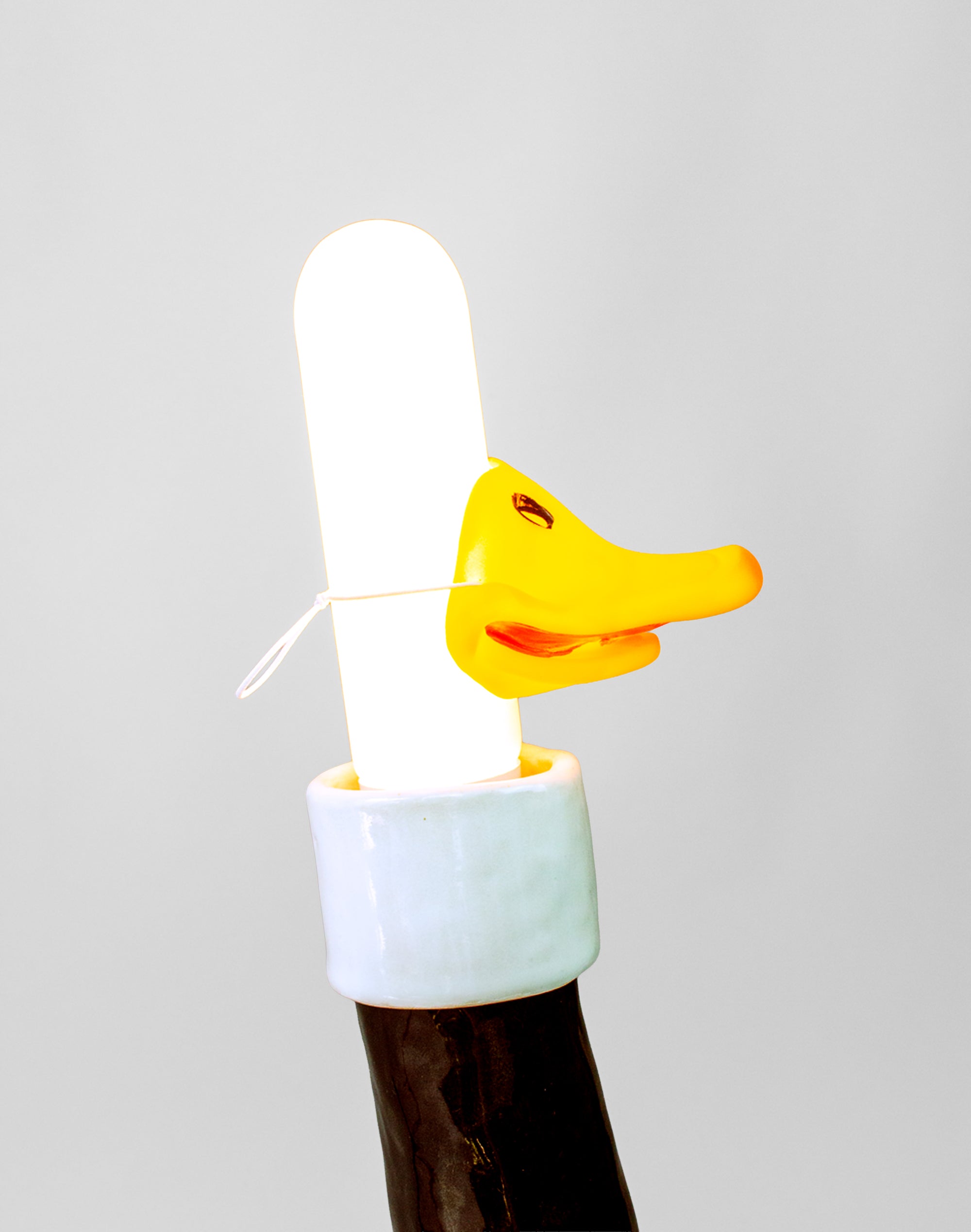 The Great Northern Illuminated Mallard – Black