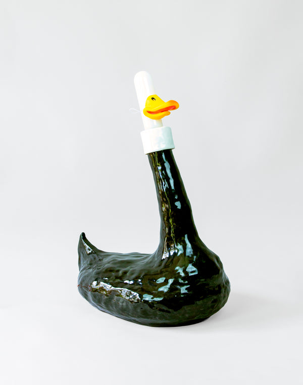 The Great Northern Illuminated Mallard