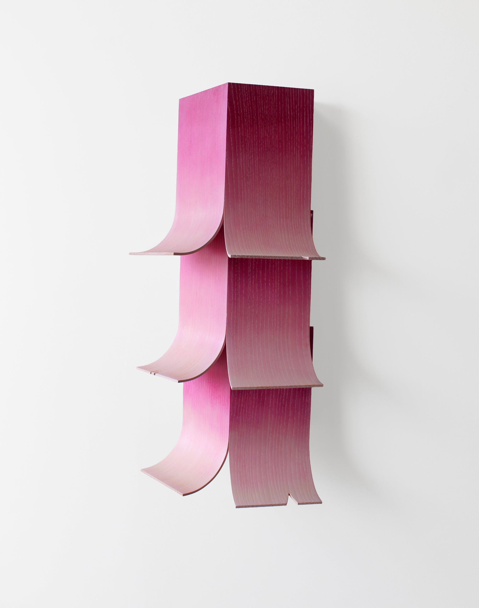Petal Sconce