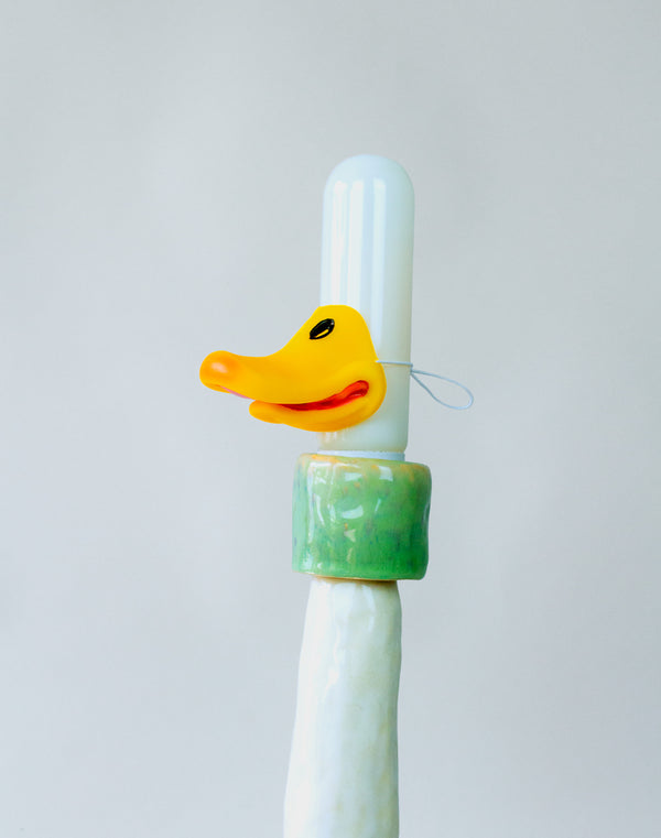 The Great Northern Illuminated Mallard