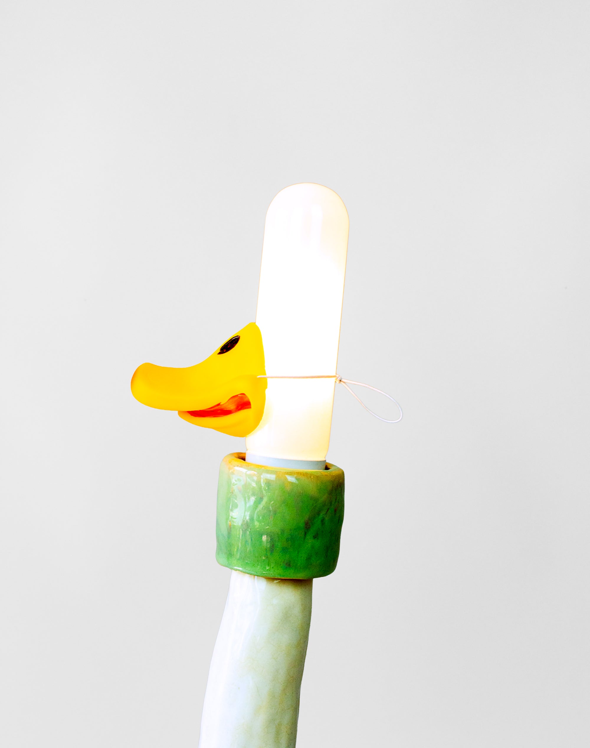 The Great Northern Illuminated Mallard – White